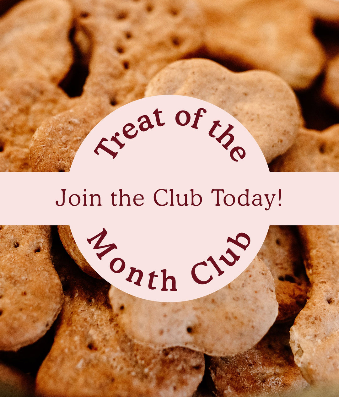 Treat of the Month +
