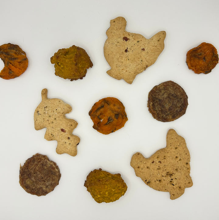 Thanksgiving Turkey Pie Platter