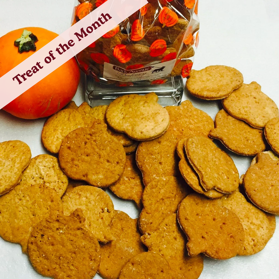 Pumpkin Spice Treats Assortment