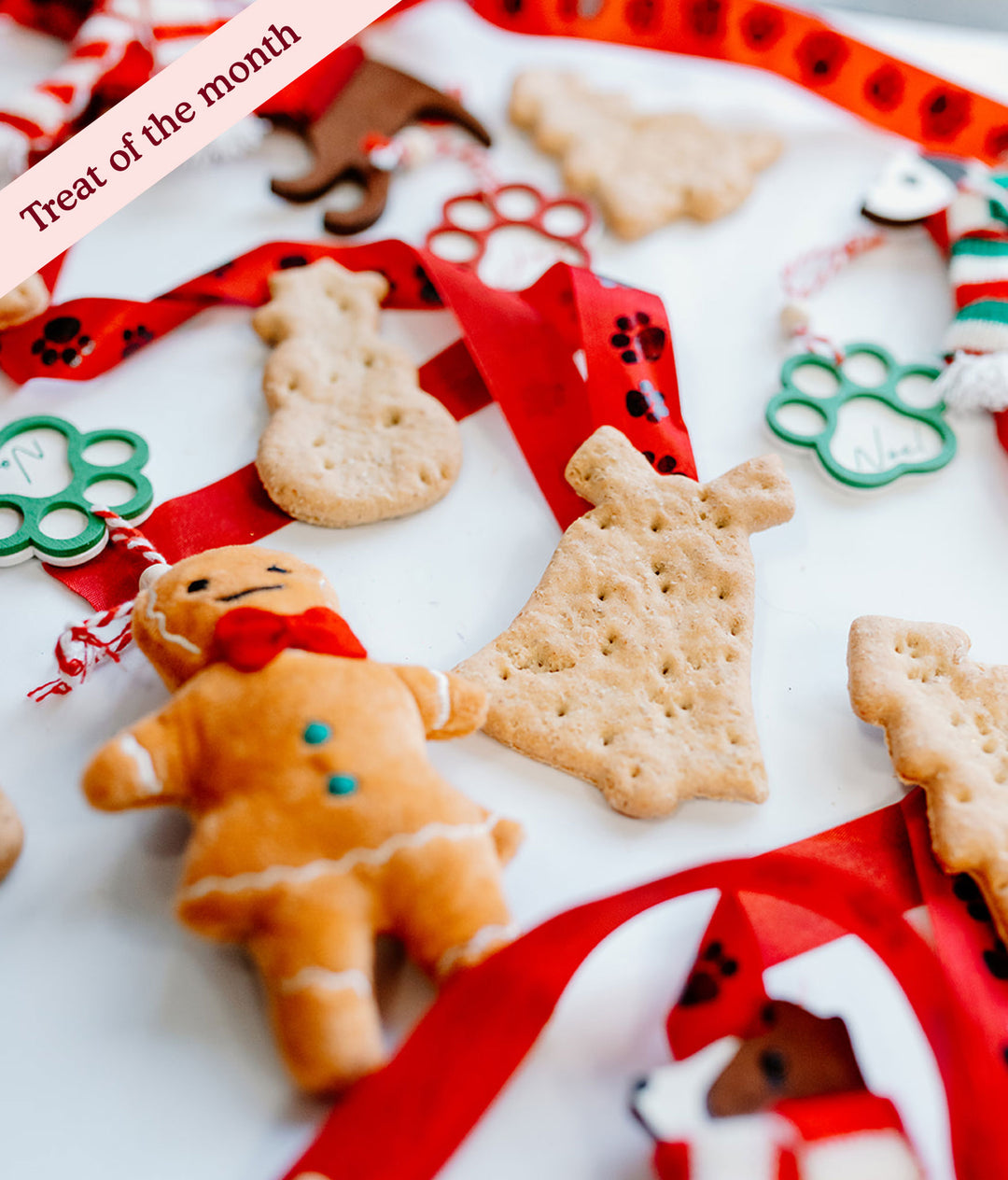 Christmas Gingerbread Treats