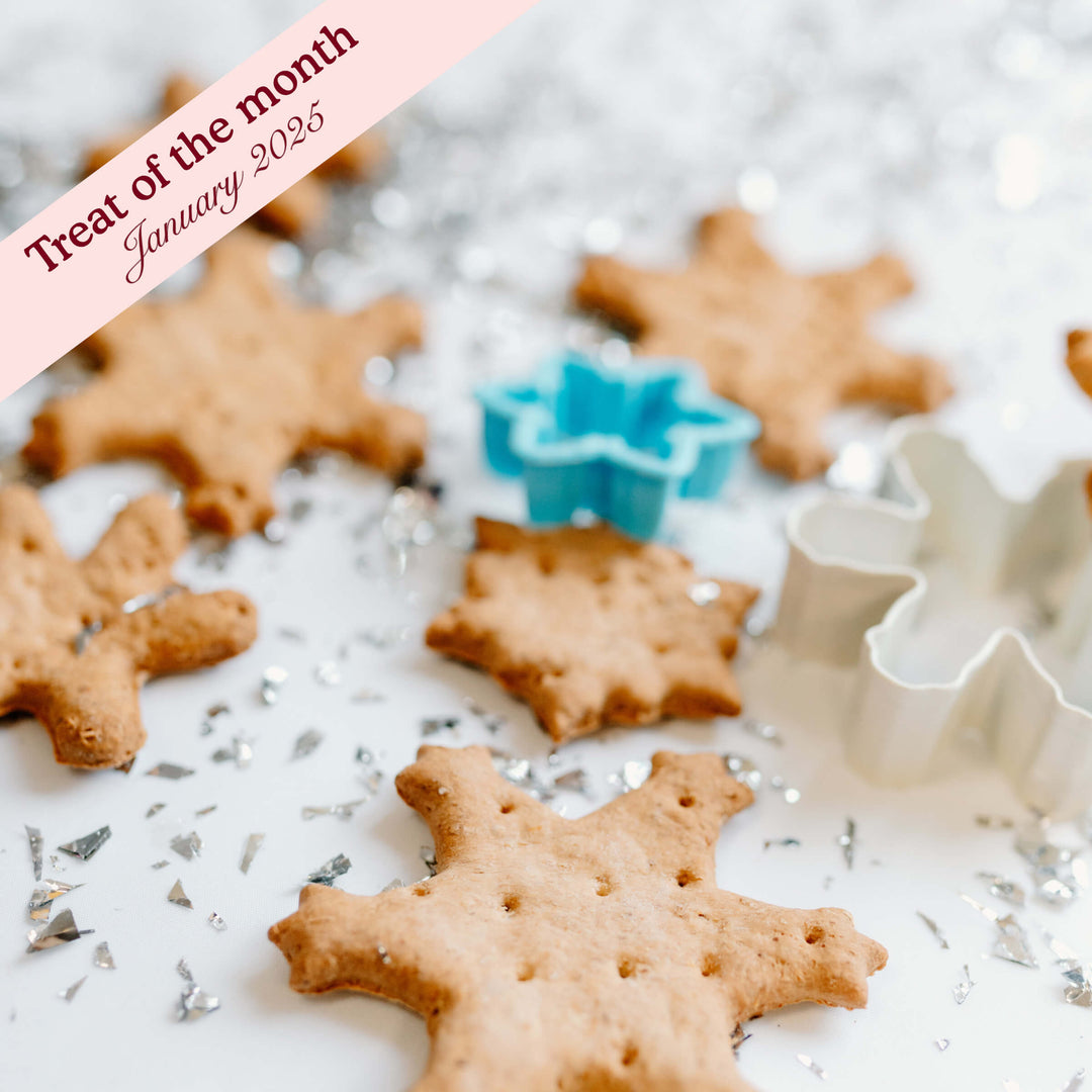 Cold Outside Vanilla Snowflakes Assortment