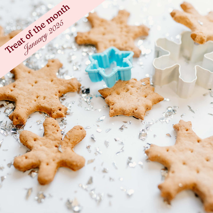 Cold Outside Vanilla Snowflakes Assortment