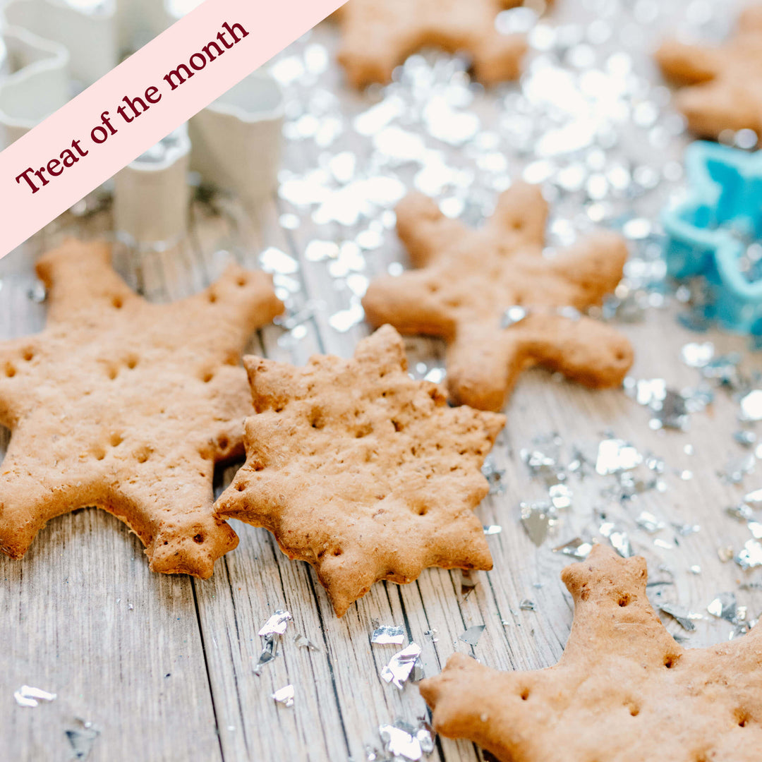 Cold Outside Vanilla Snowflakes Assortment