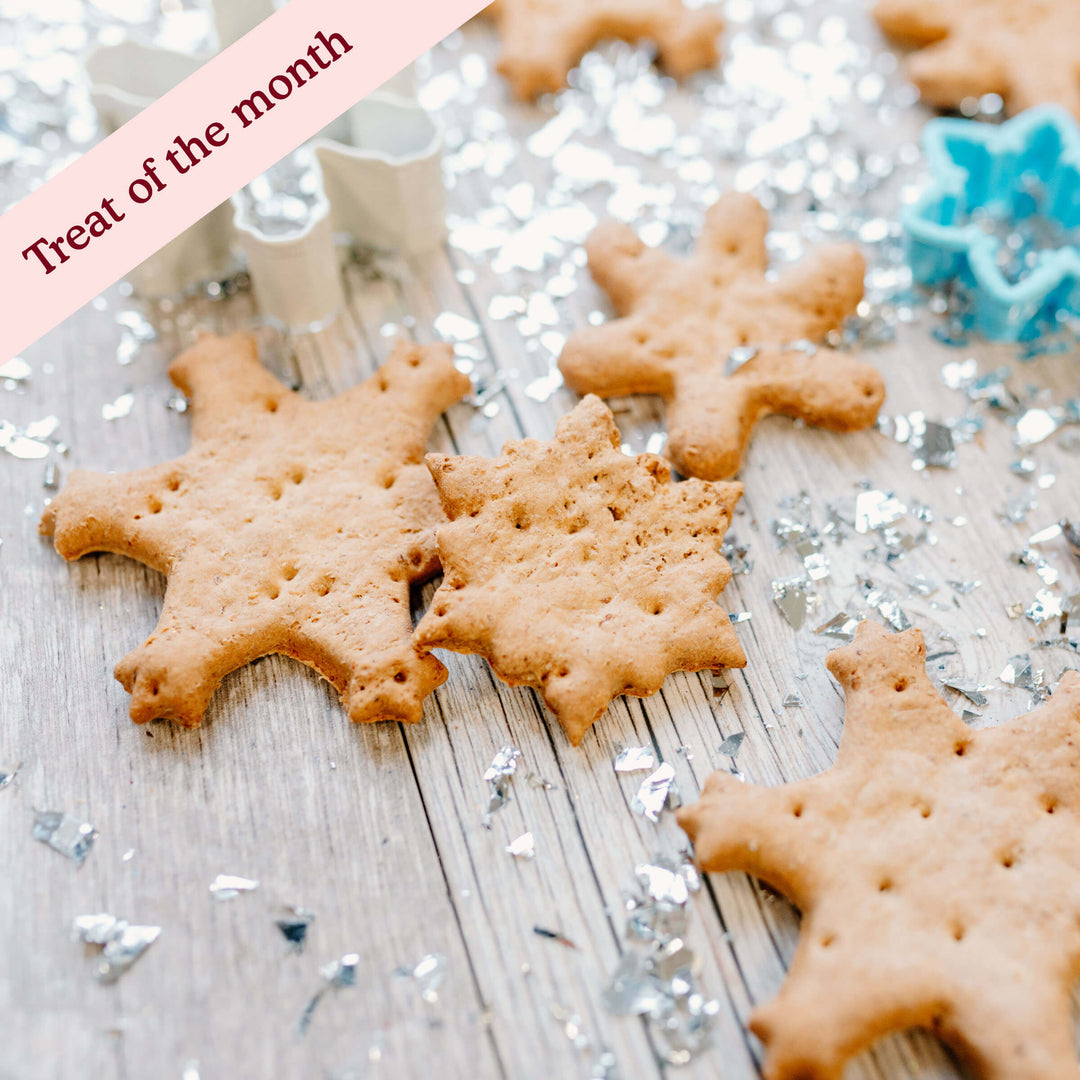 Cold Outside Vanilla Snowflakes Assortment