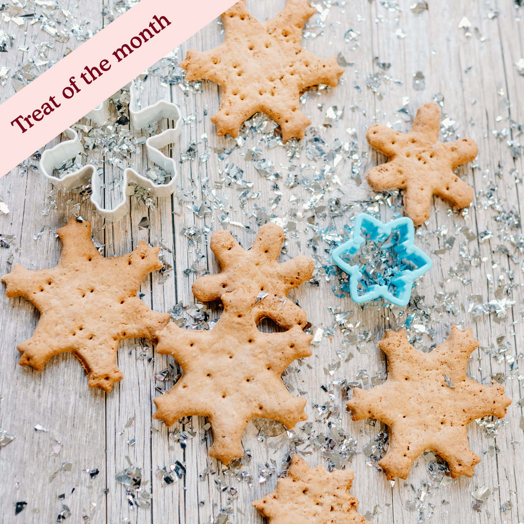 Cold Outside Vanilla Snowflakes Assortment