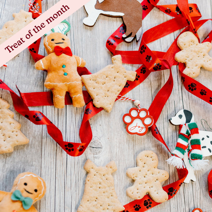 Christmas Gingerbread Treats