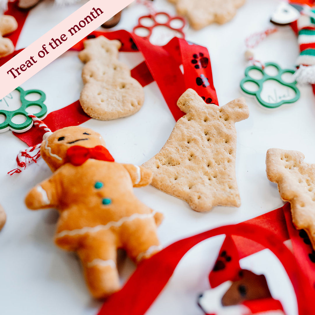 Christmas Gingerbread Treats