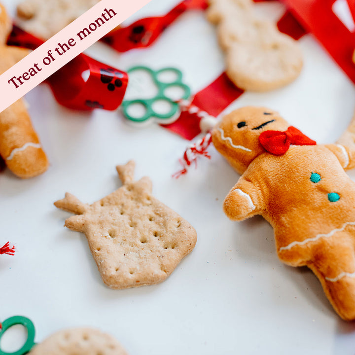 Christmas Gingerbread Treats