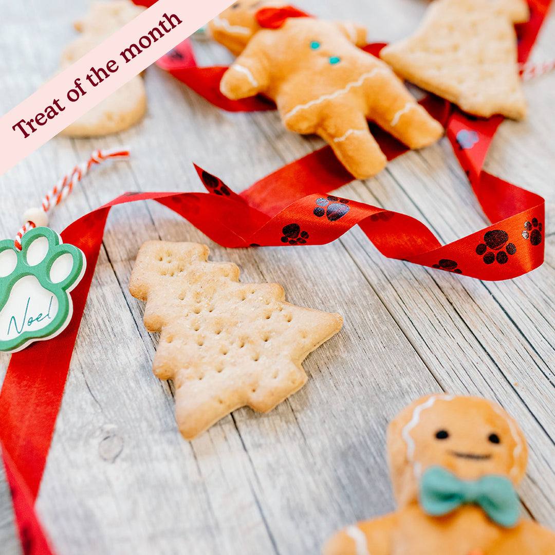 Christmas Gingerbread Treats