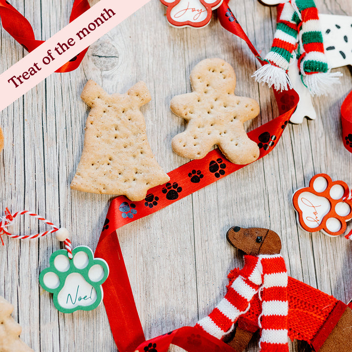 Christmas Gingerbread Treats