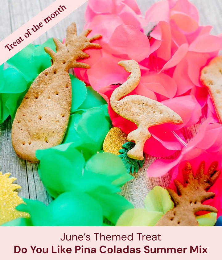 Do You Like Pina Coladas Summer Mix