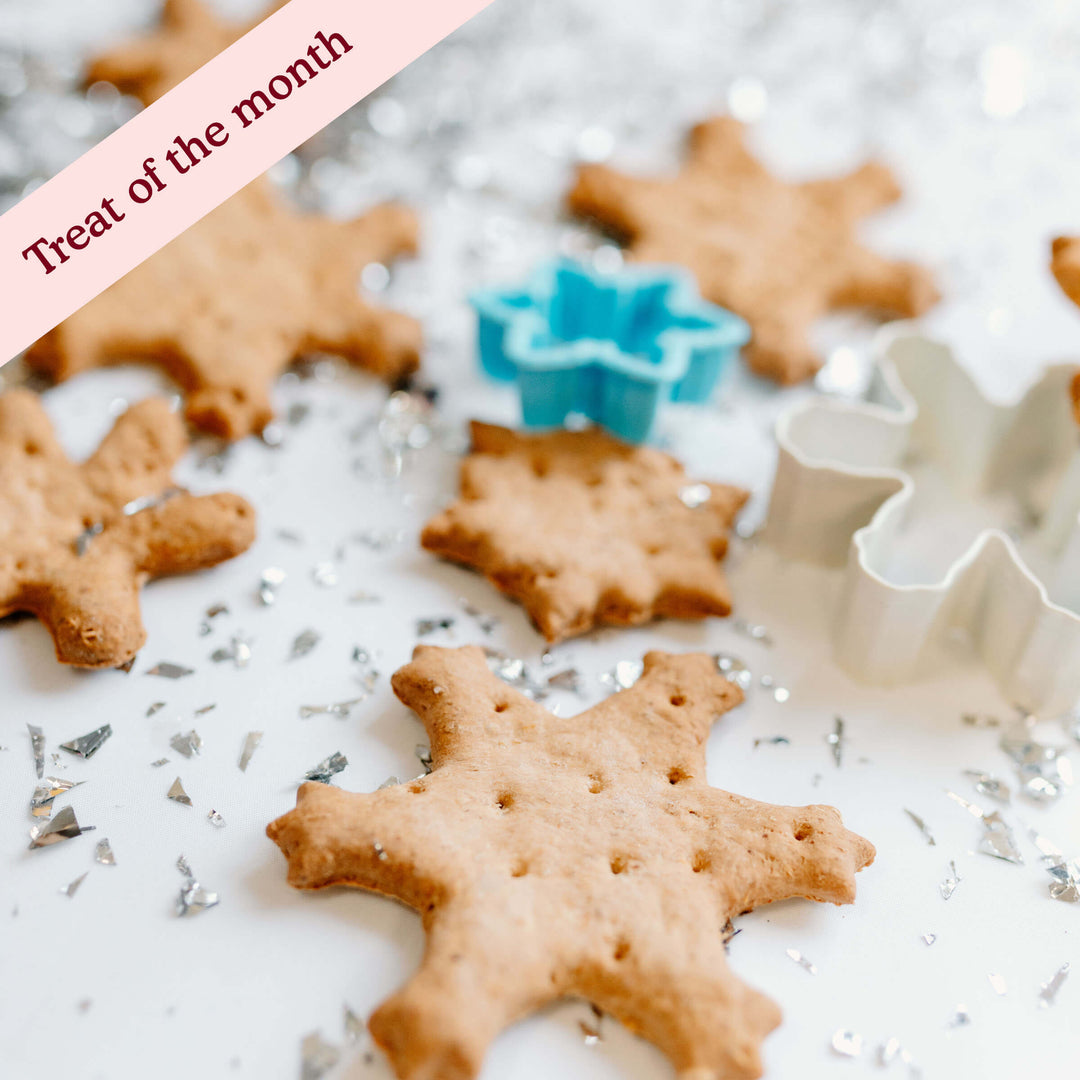 Cold Outside Vanilla Snowflakes Assortment