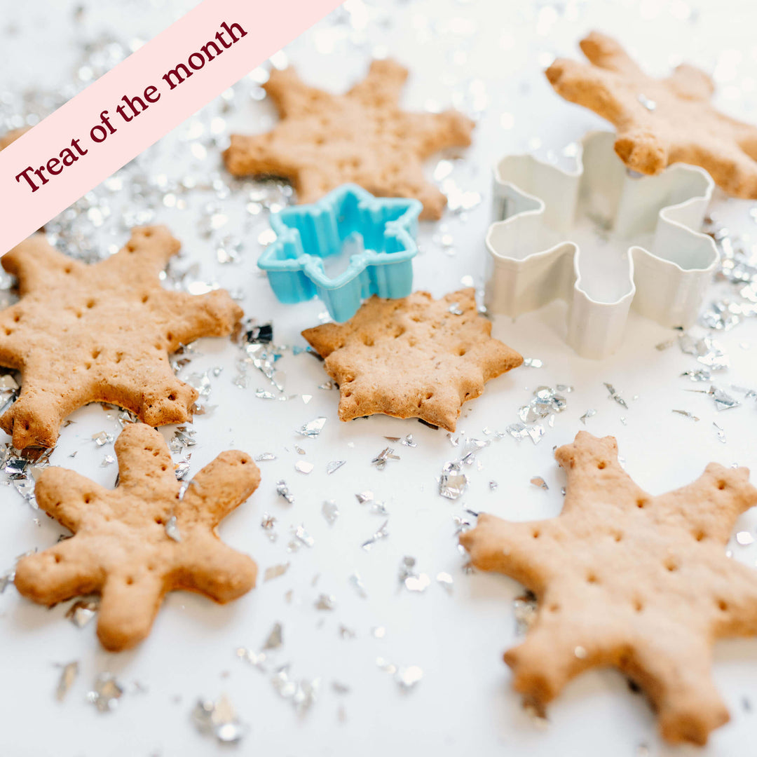 Cold Outside Vanilla Snowflakes Assortment