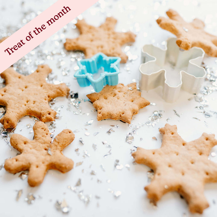 Cold Outside Vanilla Snowflakes Assortment