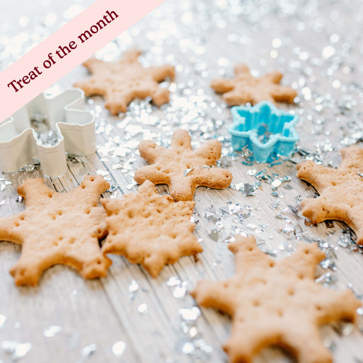 Cold Outside Vanilla Snowflakes Assortment