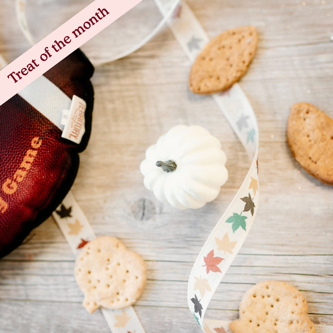 Pumpkin Spice Treats Assortment
