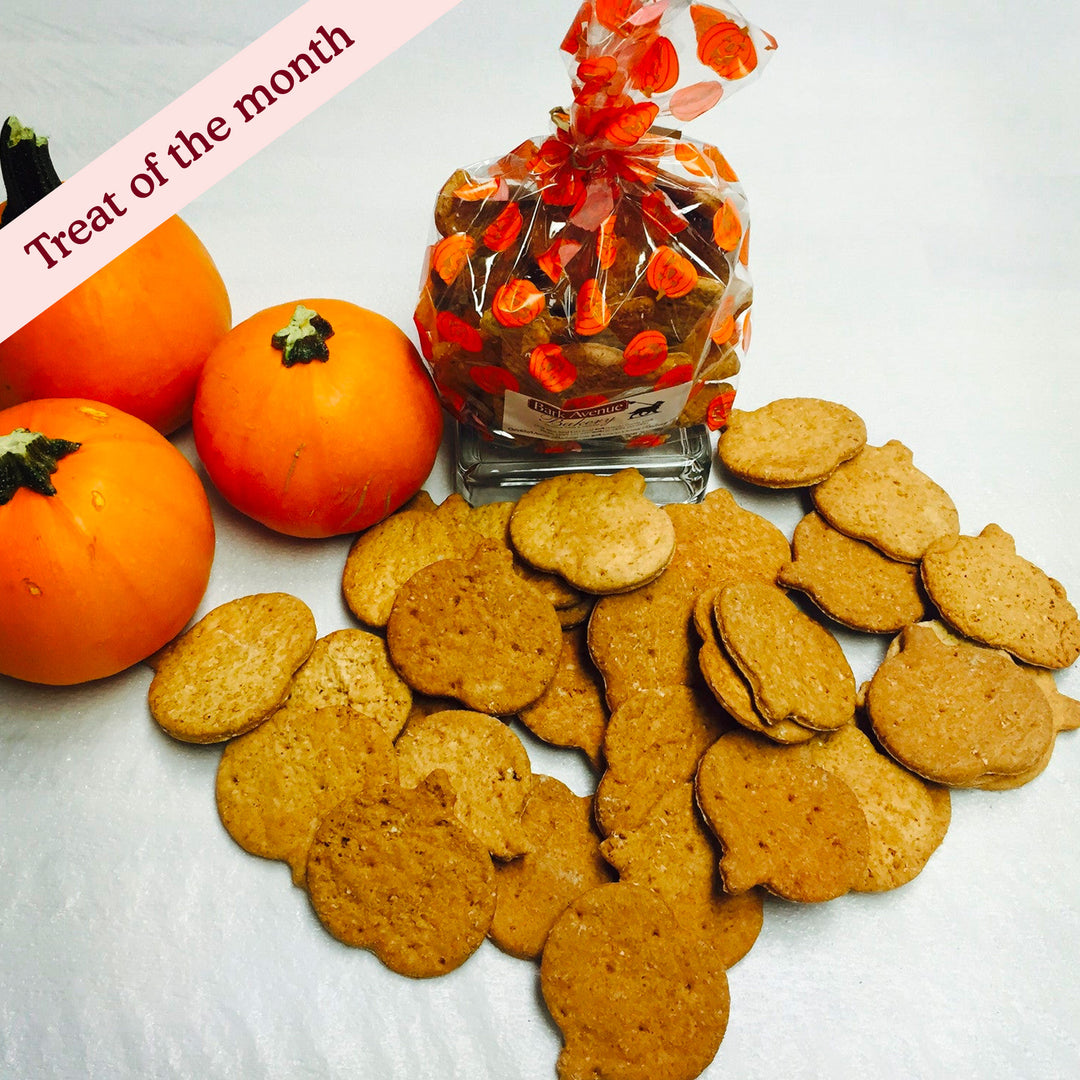 Pumpkin Spice Treats Assortment