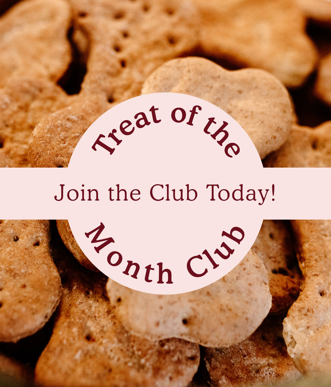 Treat of the Month Club